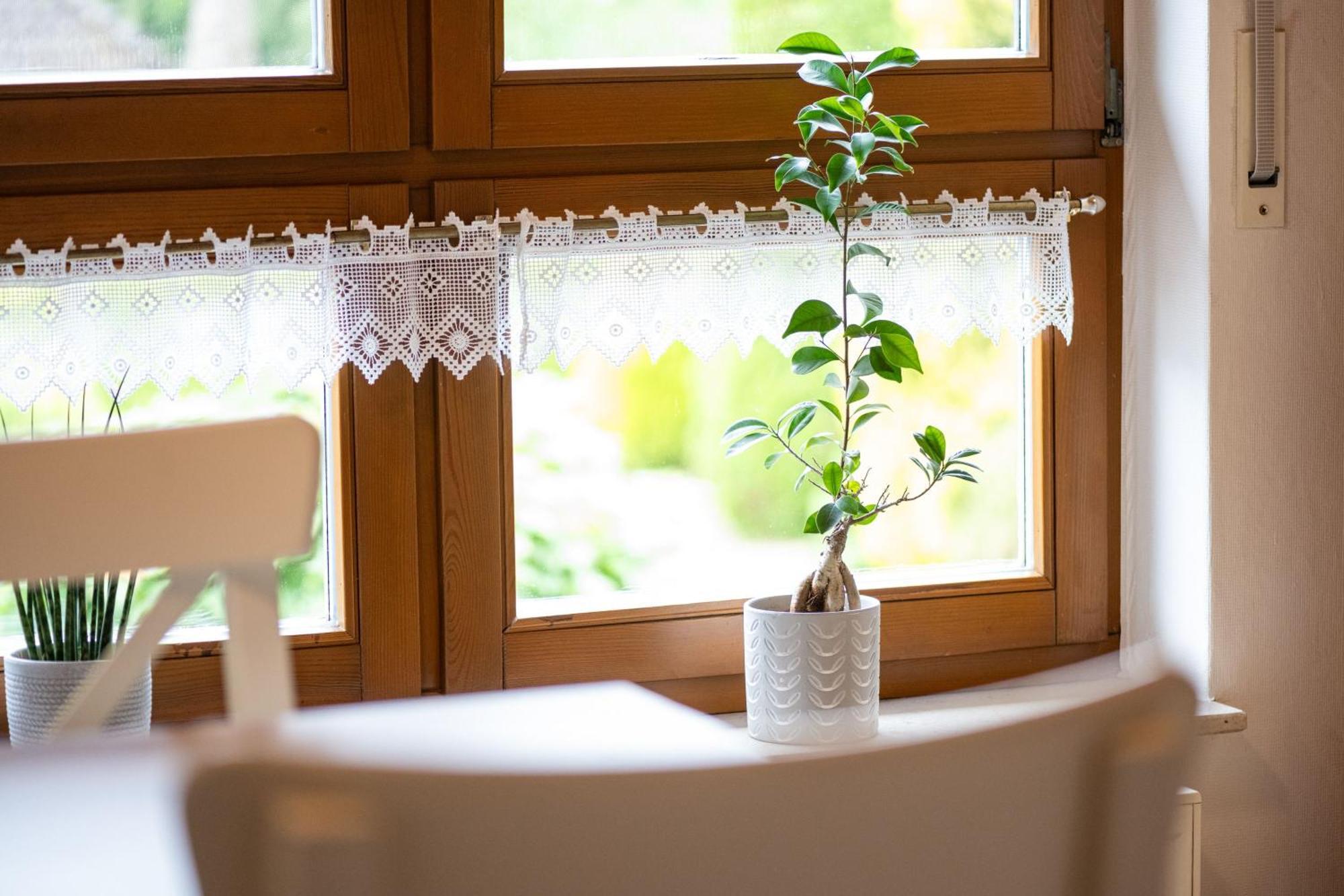 Ferienwohnung Pop S Huus 35226 Holtland Esterno foto